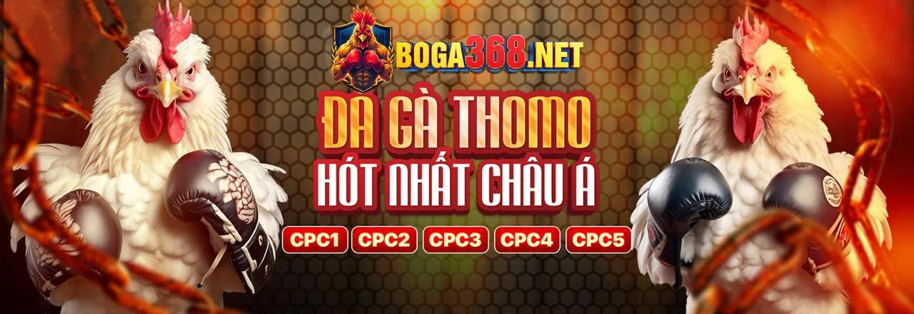 Tài nguyên KU Casino 77 với các hướng dẫn cá cược